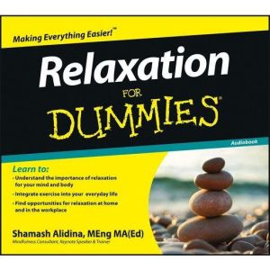 Relaxation for Dummies, Shamash Alidina