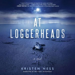 AT LOGGERHEADS: Stunning debut novel! Sea turtles, murder mystery, politics, romance!