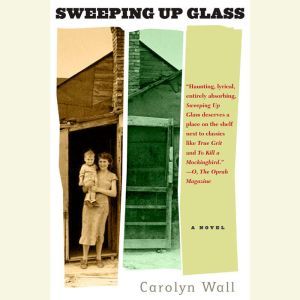 Sweeping Up Glass, Carolyn Wall