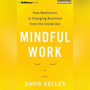 Mindful Work, David Gelles