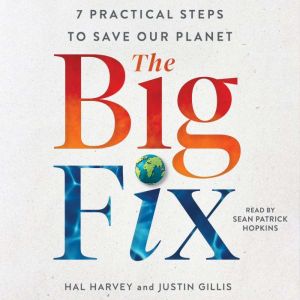 The Big Fix, Hal Harvey