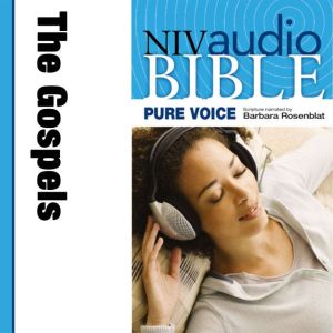 Pure Voice Audio Bible  New Internat..., Zondervan