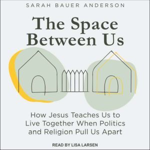 The Space Between Us, Sarah Bauer Anderson