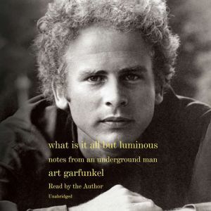 What Is It All but Luminous, Art Garfunkel