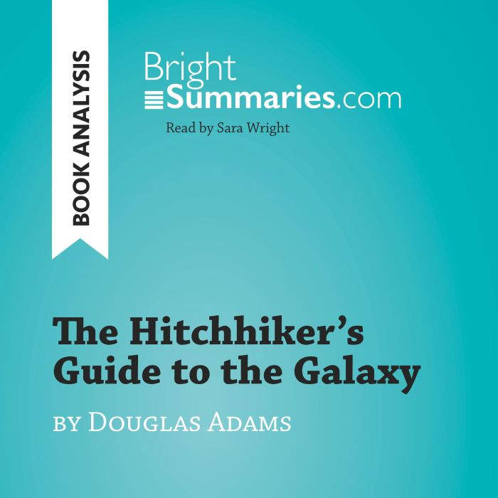 The Hitchhikers Guide to the Galaxy ..., Bright Summaries