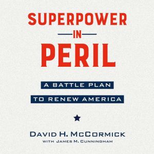 Superpower in Peril, David McCormick