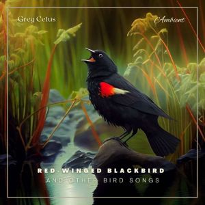 Redwinged Blackbird and Other Bird S..., Greg Cetus
