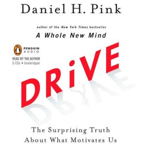 Drive: The Surprising Truth About What Motivates Us, Daniel H. Pink