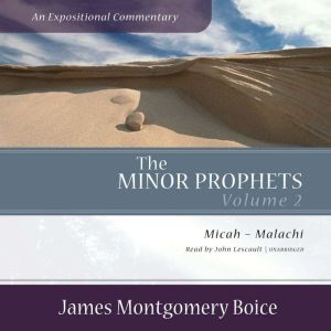 The Minor Prophets An Expositional C..., James Montgomery Boice