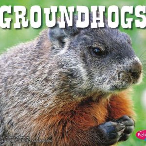 Groundhogs, Chadwick Gillenwater