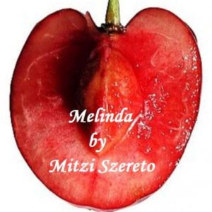Melinda a short story, Mitzi Szereto