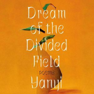 Dream of the Divided Field, Yanyi