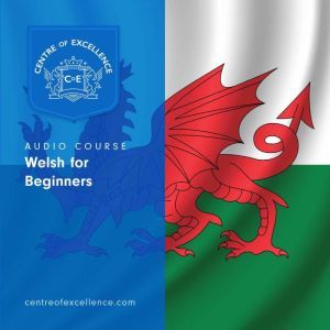 Welsh for Beginners, Centre of Excellence