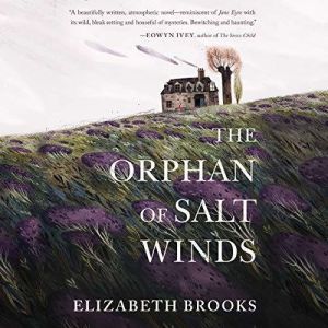 The Orphan of Salt Winds, Elizabeth Brooks