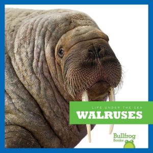 Walruses, Cari Meister