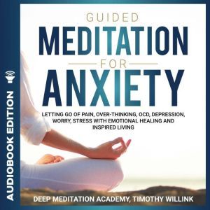 Guided Meditation for Anxiety, Timothy Willink