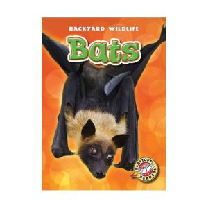 Bats, Kari Schuetz