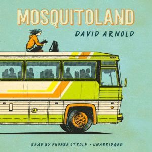 Mosquitoland, David Arnold