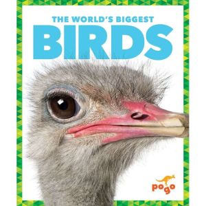 The Worlds Biggest Birds, Mari Schuh