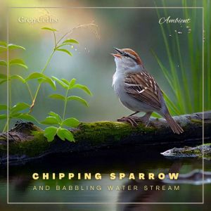 Chipping Sparrow and Babbling Water S..., Greg Cetus