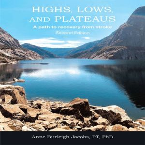 Highs, Lows, and Plateaus: A path to recovery from stroke