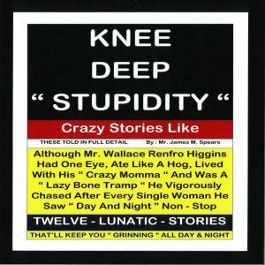 Knee Deep Stupidity, James M. Spears