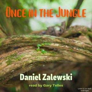 Once In The Jungle, Daniel Zalewski