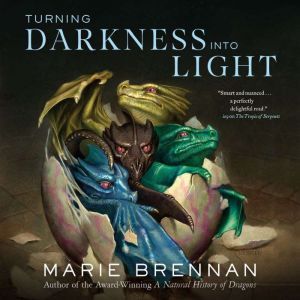 Turning Darkness Into Light, Marie Brennan