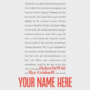 Your Name Here, Helen DeWitt
