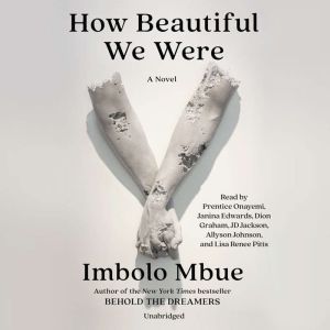 How Beautiful We Were, Imbolo Mbue