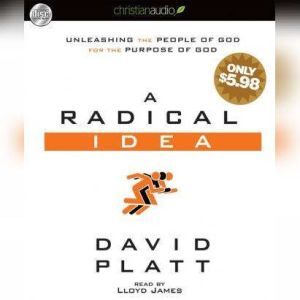 A Radical Idea, David Platt