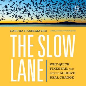 The Slow Lane: Why Quick Fixes Fail and How to Achieve Real Change