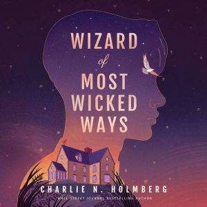 Wizard of Most Wicked Ways, Charlie N. Holmberg