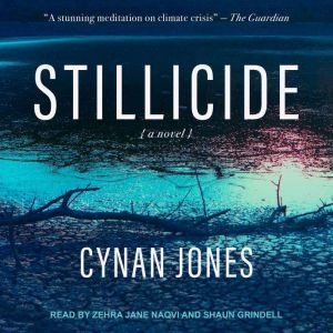 Stillicide, Cynan Jones