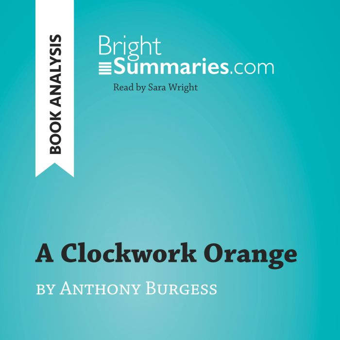A Clockwork Orange by Anthony Burgess..., Bright Summaries