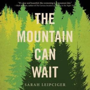 The Mountain Can Wait, Sarah Leipciger