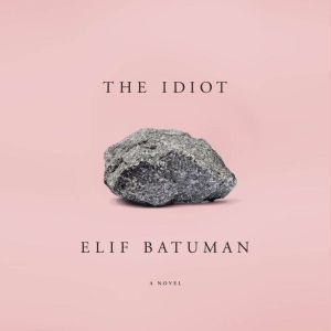 the idiot book elif batuman