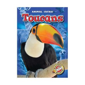 Toucans, Megan BorgertSpaniol