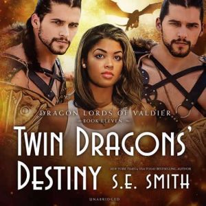 Twin Dragons Destiny, S.E. Smith