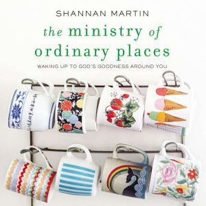 The Ministry of Ordinary Places, Shannan Martin