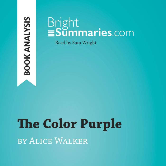 The Color Purple by Alice Walker Boo..., Bright Summaries