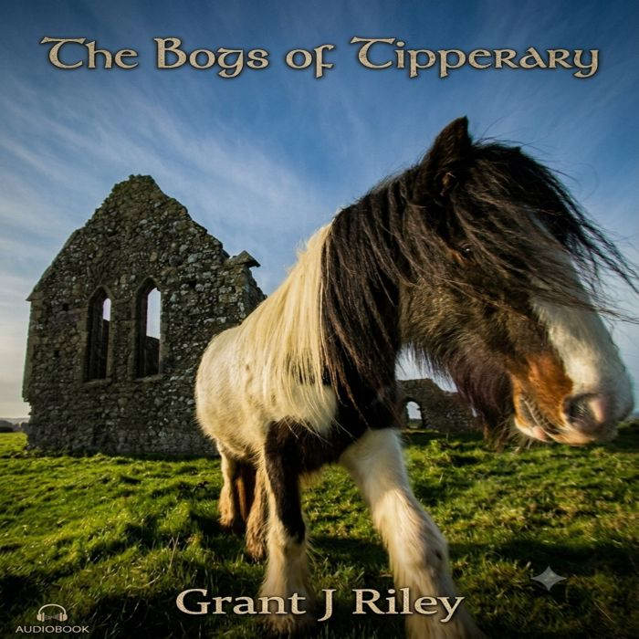 The Bogs of Tipperary, Grant J Riley