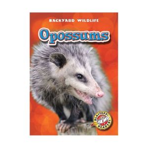 Opossums, Emily Green