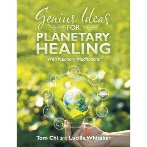 Genius Ideas for Planetary Healing: With Visionary Meditations