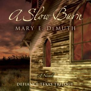 A Slow Burn, Mary E DeMuth