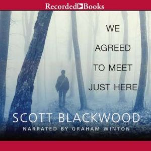 We Agreed to Meet Just Here, Scott Blackwood