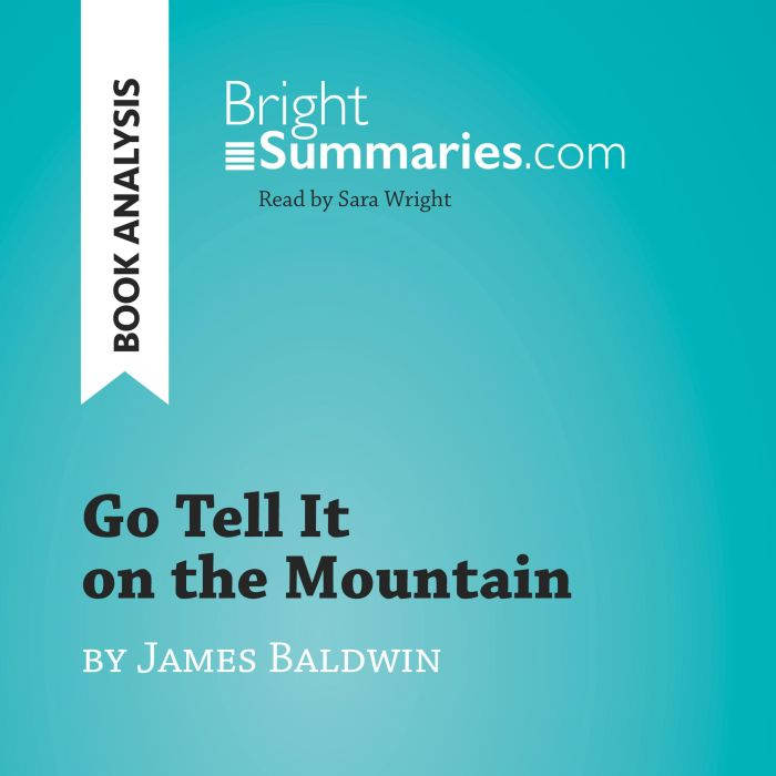Go Tell It on the Mountain by James B..., Bright Summaries