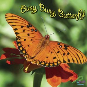 Busy, Busy Butterfly, Molly Carroll