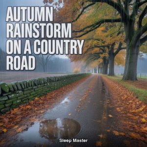 Autumn Rainstorm on a Country Road, Sleep Master