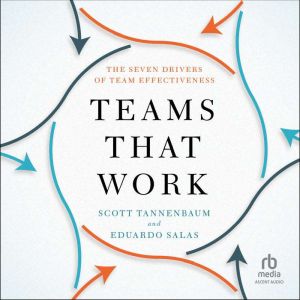 Teams That Work: The Seven Drivers of Team Effectiveness